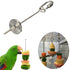 Bird Food Holder