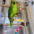 Multicolor Bird Climb Cableway Beads