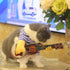 Cat Cute Guitarist Outfit