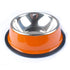 Pet Colorful Steel Bowls